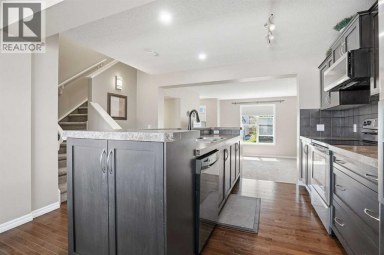 267 Skyview Springs Gardens NE Calgary Alberta photo 8
