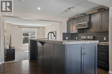 267 Skyview Springs Gardens NE Calgary Alberta photo 9