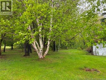314 Route 134 Petit-Rocher-Nord New Brunswick photo 29