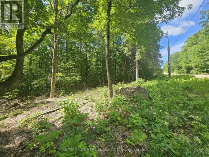 Pt Lt 22 O'grady Settlement Road, Killaloe, Hagarty And Richards, Ontario (id X13436002)