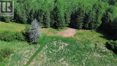 760 385 Route Sisson Brook New Brunswick photo 15