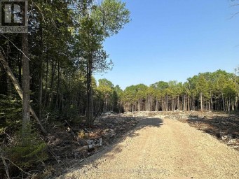 42 TRILLIUM CROSSING Northern Bruce Peninsula Ontario photo 1