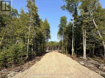 42 TRILLIUM CROSSING Northern Bruce Peninsula Ontario photo 4