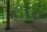 3886 HOLMES ROAD, Frontenac (frontenac South), Ontario, K0H1X0 (ID X13437592)