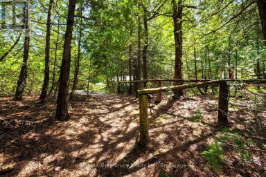 11 ELDRIDGE AVENUE South Bruce Peninsula Ontario photo 42