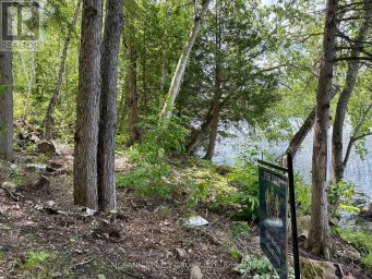 0 STARLIGHT ROAD Minden Hills (Lutterworth) Ontario photo 10