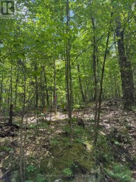0 STARLIGHT ROAD Minden Hills (Lutterworth) Ontario photo 5