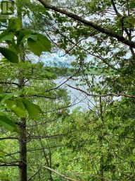 0 STARLIGHT ROAD Minden Hills (Lutterworth) Ontario photo 6