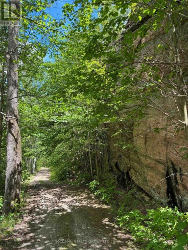 0 STARLIGHT ROAD, Minden Hills (Lutterworth), Ontario, K0M2K0