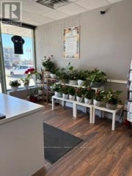 6 - 139 GEORGE STREET N Peterborough (Town Ward 3) Ontario photo 1