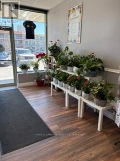 6 - 139 GEORGE STREET N, Peterborough (Town Ward 3), Ontario, K9J3G6