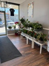 6 - 139 GEORGE STREET N Peterborough (Town Ward 3) Ontario photo 3