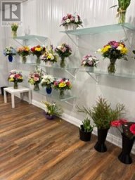 6 - 139 GEORGE STREET N Peterborough (Town Ward 3) Ontario photo 9
