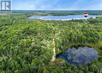 15 AXE LAKE ROAD McMurrich/Monteith (Monteith) Ontario photo 1