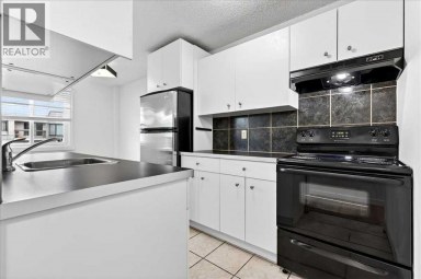 302, 635 57 Avenue SW Calgary Alberta photo 12