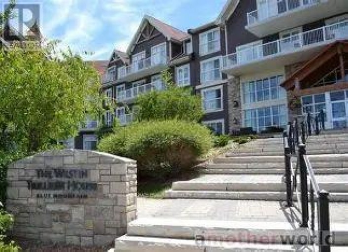 311 - 220 GORD CANNING DRIVE, Blue Mountains, Ontario, L9Y0V9