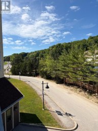 311 - 220 GORD CANNING DRIVE Blue Mountains Ontario photo 18