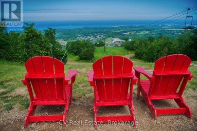 159 SNOWBRIDGE WAY Blue Mountains Ontario photo 49