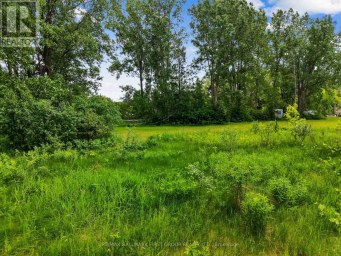 1 EARL STREET Cramahe (Colborne) Ontario photo 7