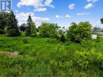 1 EARL STREET Cramahe (Colborne) Ontario photo 8