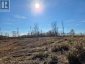 84335 EDWARDS ROAD, Timiskaming (tim - Outside - Rural), Ontario, P0J1S0 (ID T13447570)