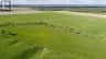 84335 EDWARDS ROAD, Timiskaming (tim - Outside - Rural), Ontario, P0J1S0 (ID T13447570)