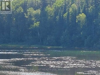 LOT 11 CATFISH LAKE ROAD Wawa Ontario photo 6