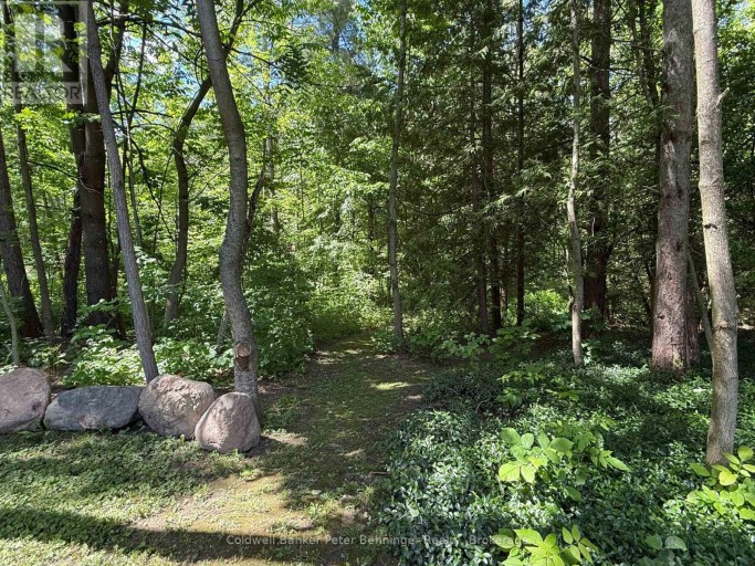 300 CANROBERT STREET, Arran-Elderslie, Ontario, N0G2N0