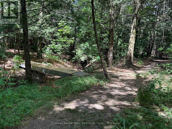 300 CANROBERT STREET, Arran-Elderslie, Ontario, N0G2N0