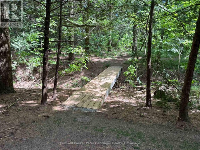 300 CANROBERT STREET, Arran-Elderslie, Ontario, N0G2N0