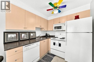 4310, 1620 70 Street SE Calgary Alberta photo 8