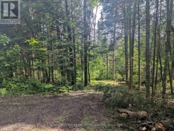 0 HIGHWAY 503 HIGHWAY Highlands East (Monmouth) Ontario photo 2