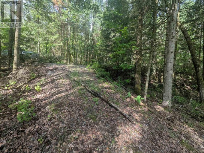 0 HIGHWAY 503 HIGHWAY, Highlands East (Monmouth), Ontario, K0M1S0