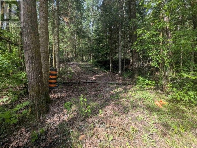 0 HIGHWAY 503 HIGHWAY, Highlands East (Monmouth), Ontario, K0M1S0
