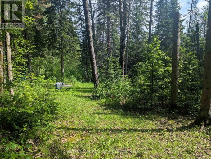 0 HIGHWAY 503 HIGHWAY, Highlands East (Monmouth), Ontario, K0M1S0