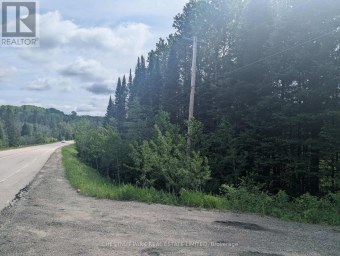 0 HIGHWAY 503 HIGHWAY Highlands East (Monmouth) Ontario photo 6