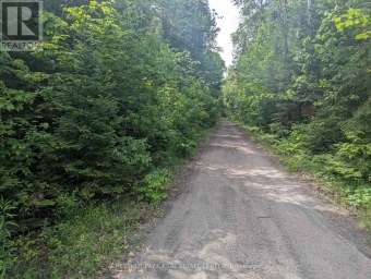 0 HIGHWAY 503 HIGHWAY Highlands East (Monmouth) Ontario photo 7