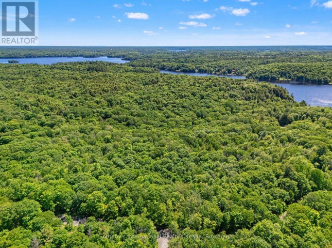 43 BURNSIDE BRIDGE ROAD, McDougall, Ontario, P2A2W9