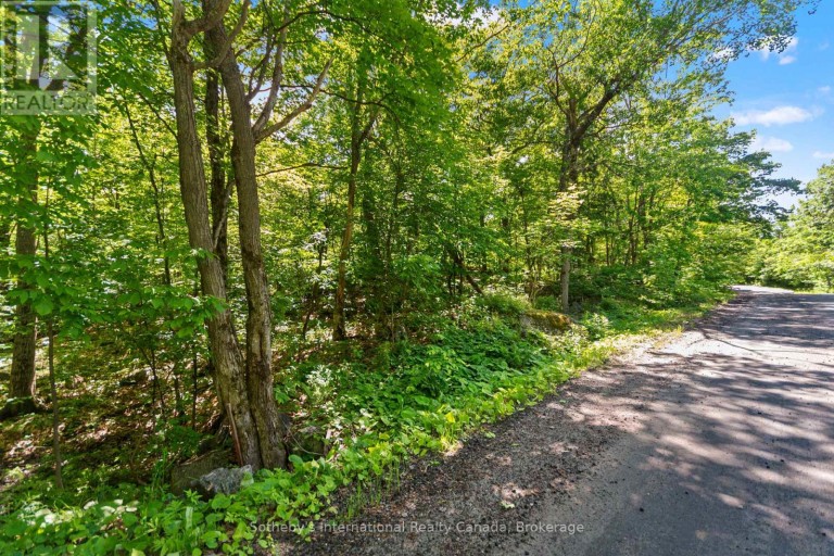 43 BURNSIDE BRIDGE ROAD, McDougall, Ontario, P2A2W9