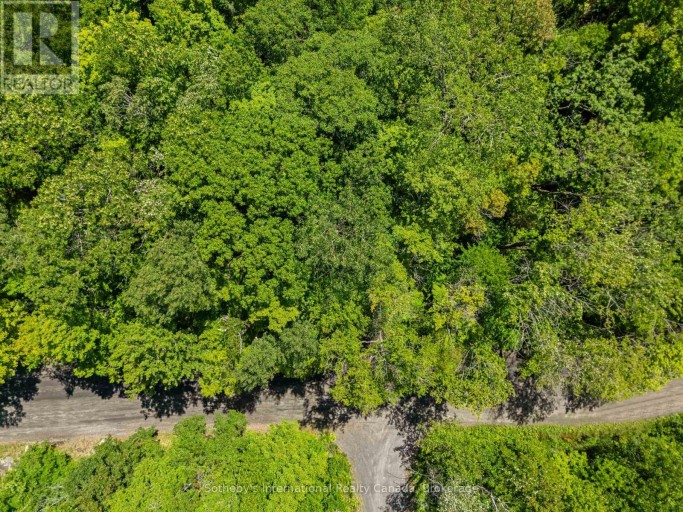 43 BURNSIDE BRIDGE ROAD, McDougall, Ontario, P2A2W9