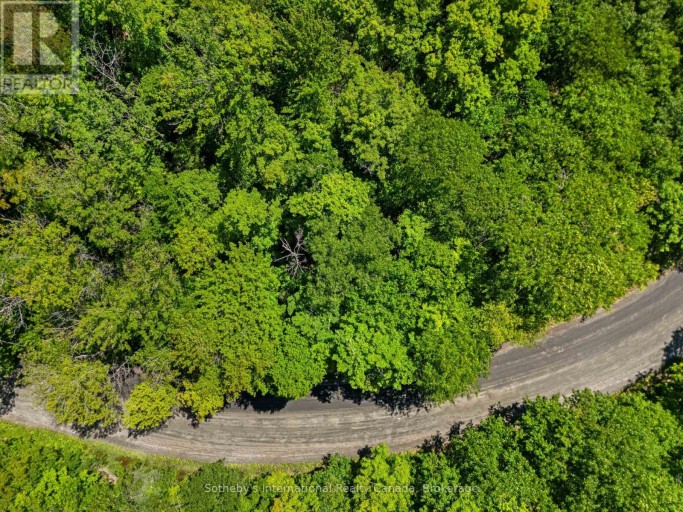 43 BURNSIDE BRIDGE ROAD, McDougall, Ontario, P2A2W9