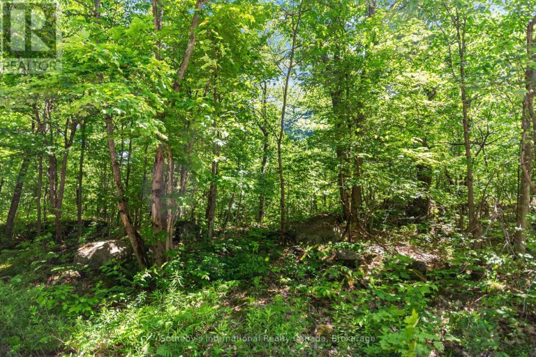 43 BURNSIDE BRIDGE ROAD, McDougall, Ontario, P2A2W9