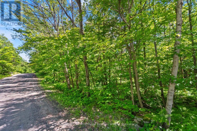 43 BURNSIDE BRIDGE ROAD, McDougall, Ontario, P2A2W9