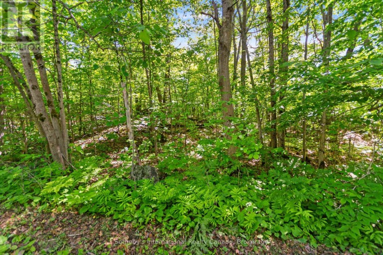 43 BURNSIDE BRIDGE ROAD, McDougall, Ontario, P2A2W9