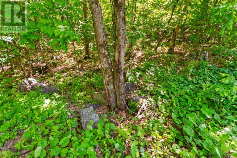 43 BURNSIDE BRIDGE ROAD, McDougall, Ontario, P2A2W9