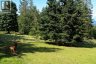 377 Seymour Hts, Salt Spring, British Columbia, V8K2B6 (ID 1040647)