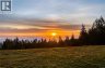 377 Seymour Hts, Salt Spring, British Columbia, V8K2B6 (ID 1040647)
