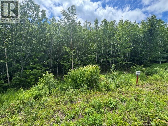 Lot 23 Misty Mountain Road, Elmsville, New Brunswick, E5C0E5