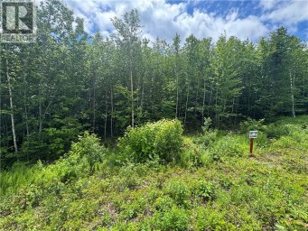 Lot 23 Misty Mountain Road Elmsville New Brunswick photo 27