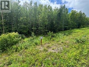 Lot 23 Misty Mountain Road Elmsville New Brunswick photo 28